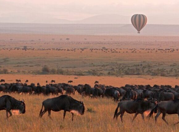 3-Days Amboseli Christmas Gateway