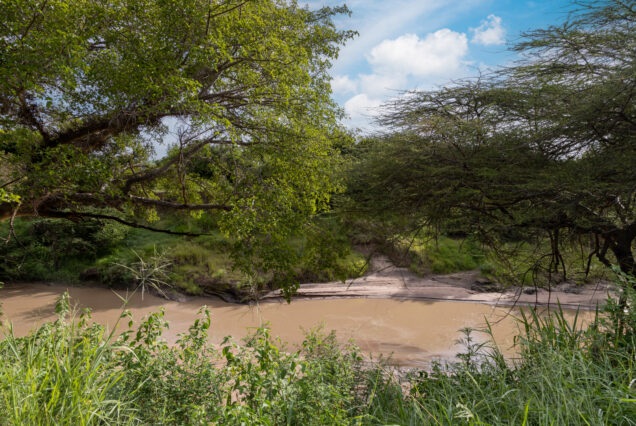 Into the Wild: 2 Days in the Masai Mara