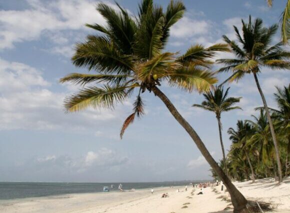 Affordable Mombasa SGR Package – 5 Days & 4 Nights