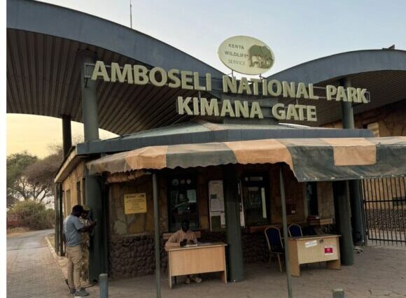 11-Days Kenya wildlife and Diani Beach Safari