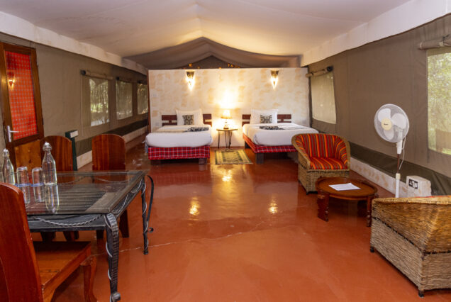 6 Days/5 Nights Maasai Mara, Lake Nakuru & Amboseli Safari Tour