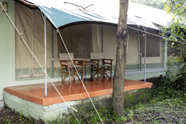 5-Days -Masai Mara, Lake Nakuru & Lake Naivasha