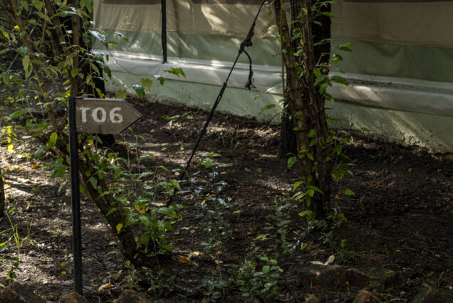 4 Days 3 Nights Maasai Mara & Lake Naivasha Safari