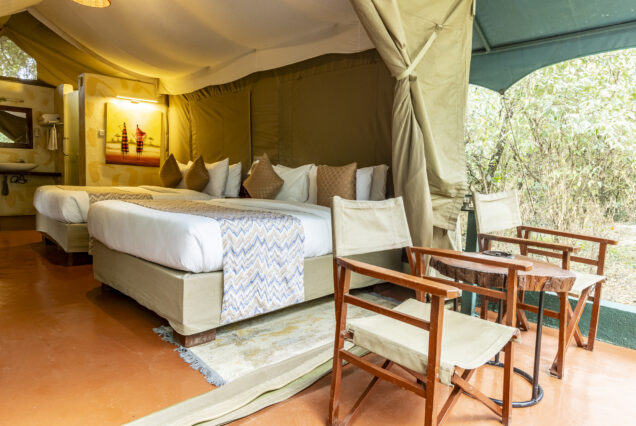 7 Days Safari Maasai Mara-Lake Nakuru -Amboseli