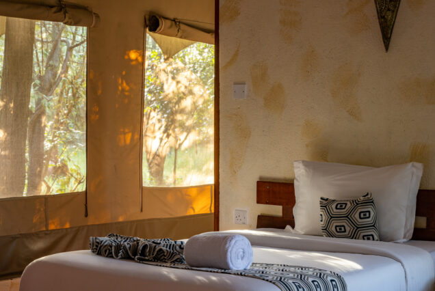 3 Days 2 Nights Masai Mara Christmas Safari Package