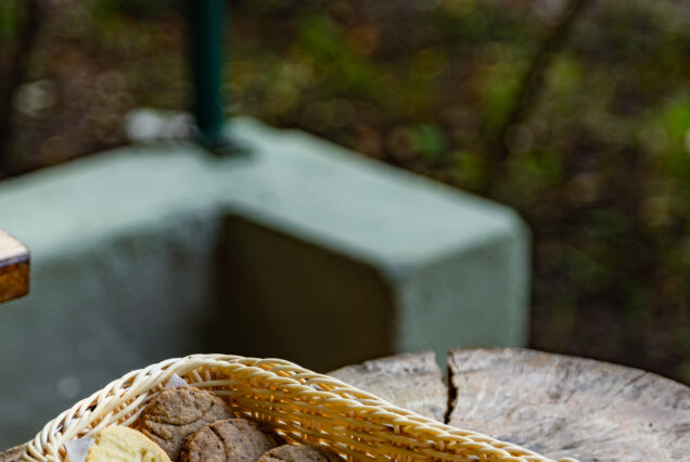 6 Days Samburu and Masai Mara Flight Safari