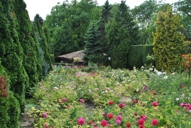 6-Day Pamplemousses Botanical Garden & Northern Mauritius Experience