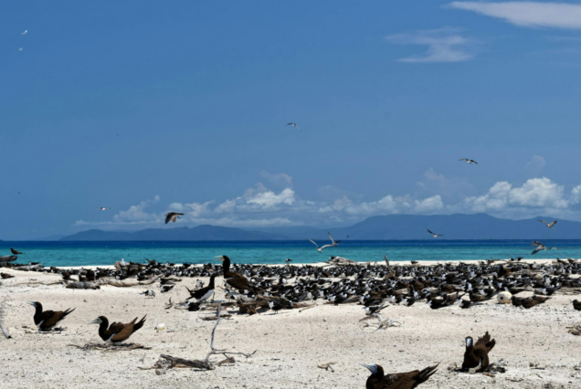 3-Day Île aux Cerfs Island Escape
