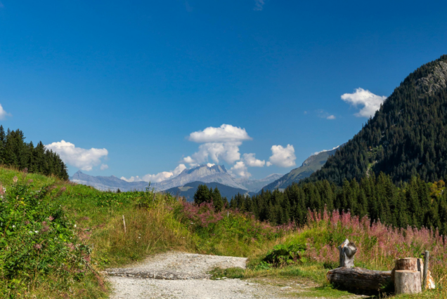 3-Day Pai Mountain & Countryside Escape